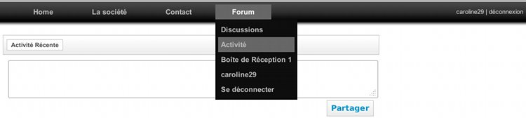 Menu partagé site et forum